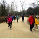 우면산3-17 이미지