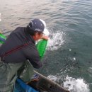 천수만목장 2 이미지