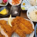 백돈 이미지