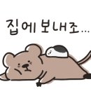 비에이치씨델피노점