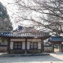 예담촌 | 산청여행/ 산청 삼매(三梅) 보러 갔다 이매(二梅)만 만난 솔직후기 (산천제,남사예담촌)