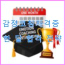 행복한 부모(보조 양육자) 되기 (감정코칭 & 소통놀이법) | 감정코칭자격증 한 달 합격 전략