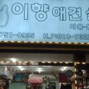 이향애견살롱 이미지