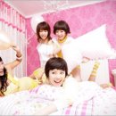 오렌지스텝 이미지