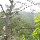 대대2리 마을회관 이미지