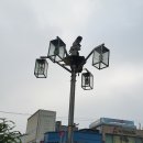 (주)씨네씨티