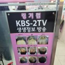 현스헤어 - 의왕시 | 현스헤어