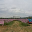 화랑유원지 이미지