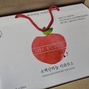 아침주스 소백산하늘 사과즙, 착즙주스