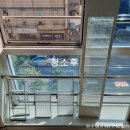 강남대로10길 104 이미지