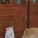 뭐먹냥? 이미지