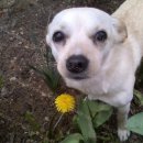 금지옥엽 이미지