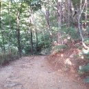 코바위민박 이미지