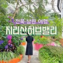 허브밸리(전망대) | 남원 여행. 지리산허브밸리 라벤더 만개 후기