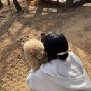 두솔유치원 | 근황