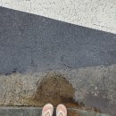 컴포즈 초지역푸르지오점