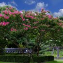 노인전문요양병원 이미지