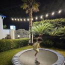 오앤비팜스테이 이미지