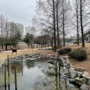 구갈레스피아 이미지