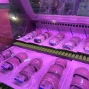 미남장어 이미지