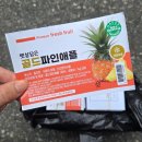 세영산업 | 부산 인쇄소 세영애드, 디지털 인쇄로 소량 리플렛부터 명함까지 완벽 제작한 솔직 후기