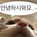 봉구스밥버거 영남대점 이미지