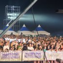 썸머 페스티벌 이미지