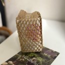 뉴인정 고급세탁소 | 청담동 글루타치온으로 유명한 뉴벨라 리포좀 글루타치온 솔직후기