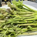 한스메디팜 이미지