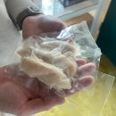 고양이 행복 쉼터 | [청주] 고양이가 행복한 도심 속 쉼터 우암동 청주고양이카페 “마이펫프렌즈” 방문 후기