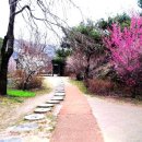 드론영상 및 소개: 금강을 품은 온기와 사유의 고장: 옥천에서 만난 영혼의 쉼표와 인문학적 성찰 | 이순규