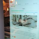 케어모어 | [쏘깔끔리뷰] 직장 스트레스 타파! 두피케어 전문 '모어블랙' 후기