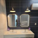 체리애견 이미지