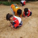 애플어린이집 이미지