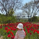 봄,푸드 | 🌿 도심 속 힐링 공간, 서울식물원 21개월 아기랑 봄축제 즐기기 | 수유실위치, 푸드코트, 주차 후기
