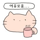 띵동 제주대패랑 옛날갈비 하단점 네이버블로그