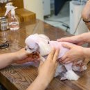 H 동물병원 이미지