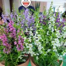 청하보건지소 이미지