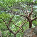 벽소령 펜션 이미지