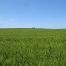 죽림농장 이미지