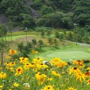 거제뷰컨트리클럽 이미지