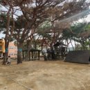 흥해서부초등학교 이미지