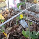 여주-0516 이미지