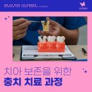 둔산세이정치과의원 이미지