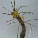 기영농장 이미지