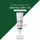 가인에스테틱 - 남구 | 가인에스테틱