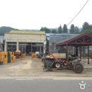 동로시장 이미지