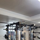 벳랜드 | [내돈내산] 블랙벳 A-1 듀얼타워 홈짐 멀티랙 구입 후기