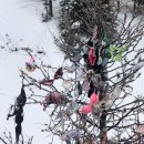 CSIA(Canadian Ski Instructors&#39; Alliance) 레벨1 취득기 생생리뷰