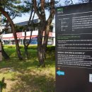 [6번째][파주] DMZ 평화의 길 6코스 - 2025.6.6.. 자전거 라이더들과 신경전을 벌이면서 걷다..